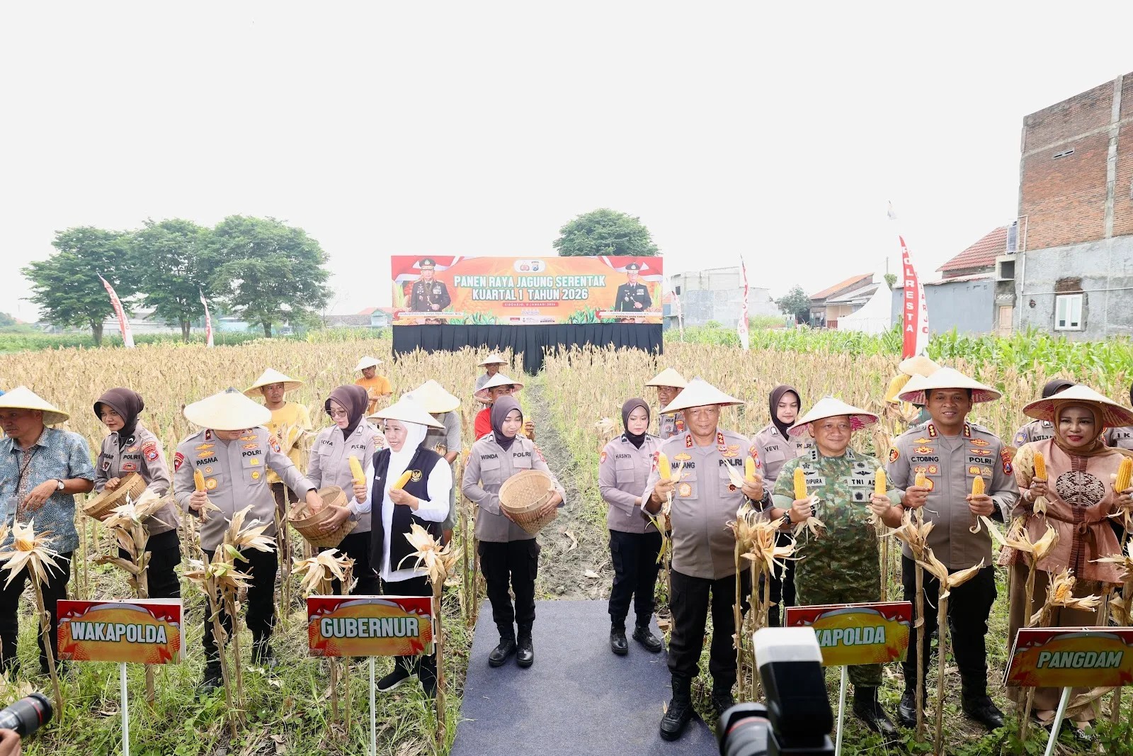 Polda Jatim Gelar Panen Raya Jagung Serentak Kuartal IV di Sidoarjo