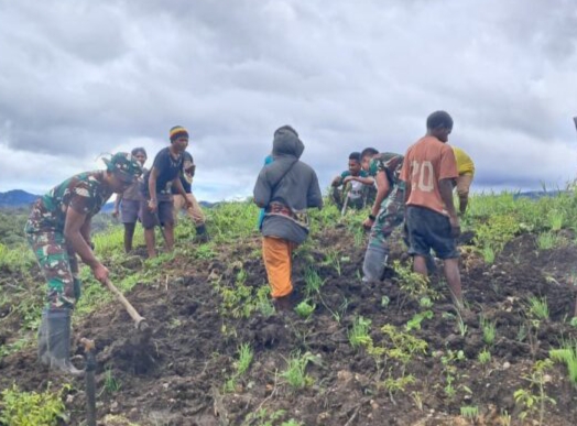 TNI Bangun Ketahanan Pangan,Pos Parim Yonif 751/Vjs Satgas Swasembada Ajak Warga Bercocok Tanam