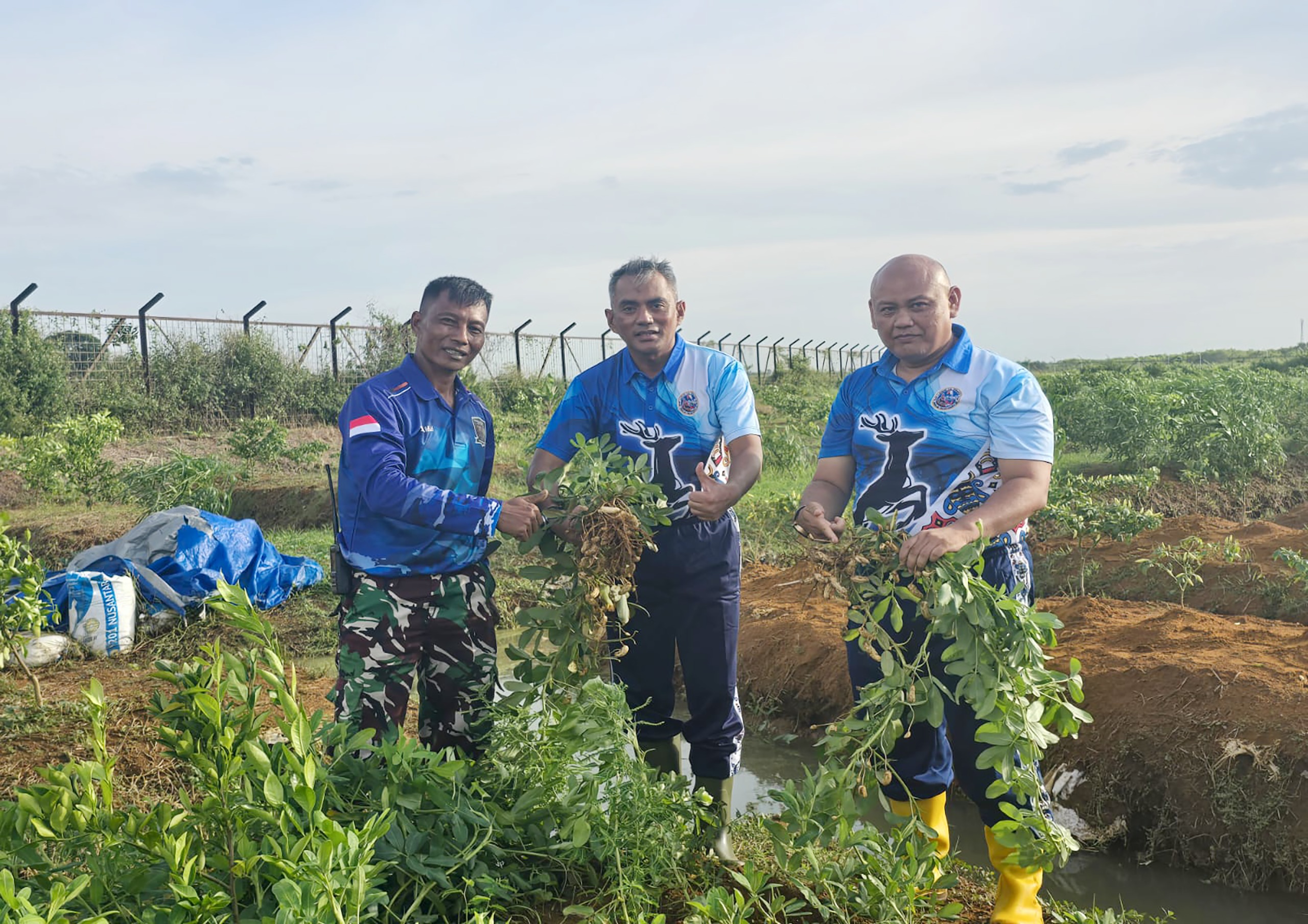 Komitmen Dukung Ketahanan Pangan, Lanud J.A. Dimara Panen Tanaman Holtikurtura