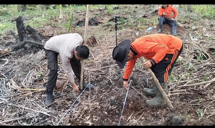 Polsek Concong Laksanakan Program Monokultur Penanaman Jagung