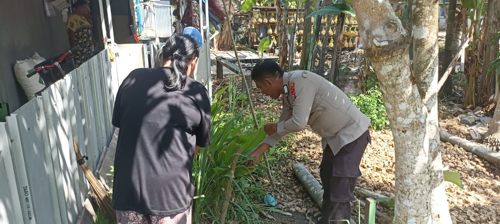 Tingkatkan Produktivitas Ekonomi Warga , Personel Polsek Enok Pantau Tanaman Di Perkarangan Rumah
